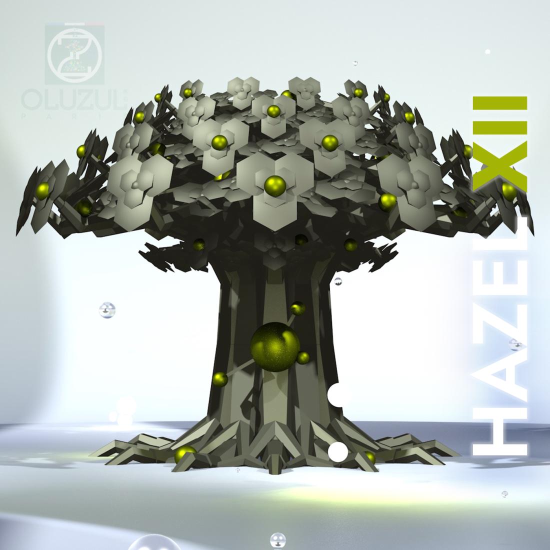 HAZEL XII