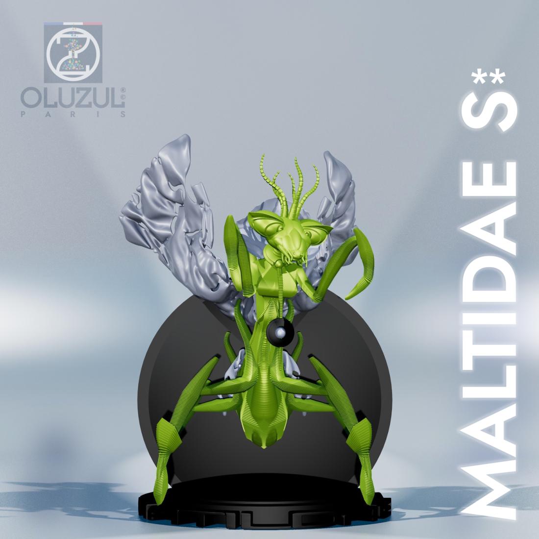 MATILDAE S**