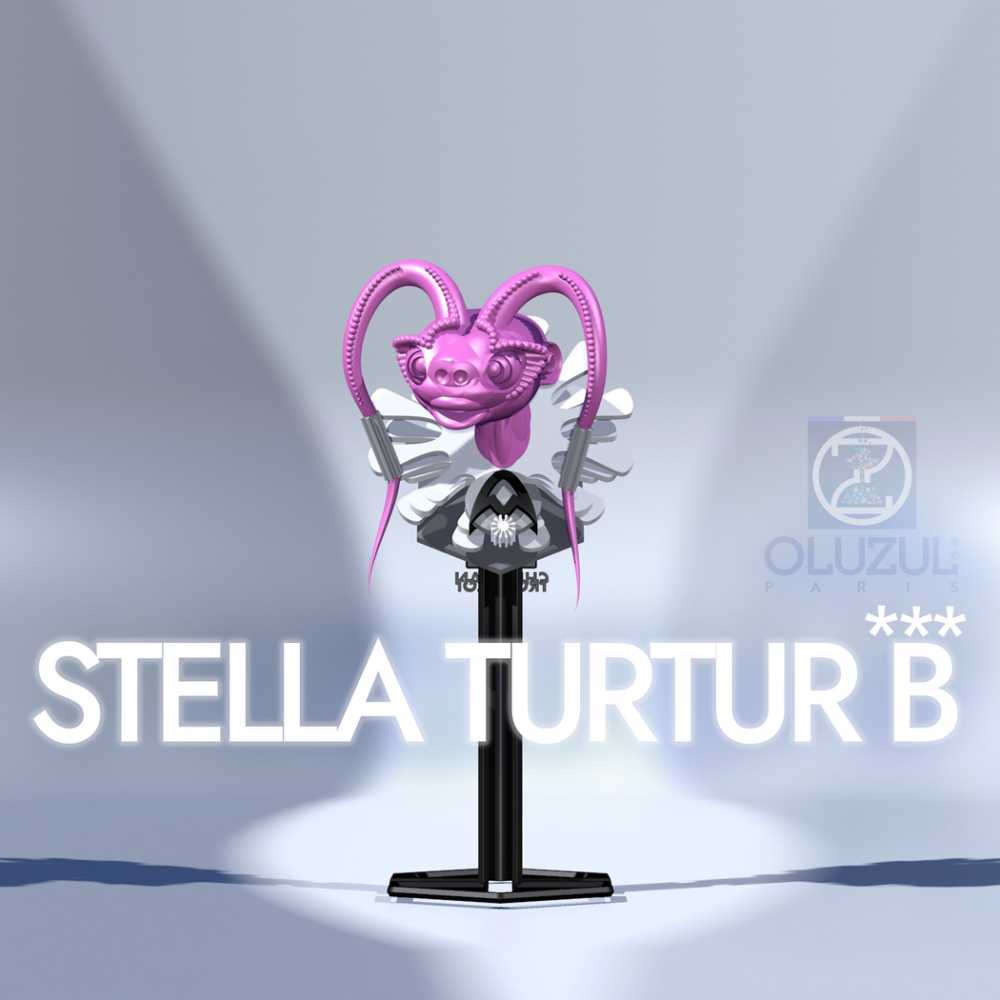 STELLA TURTUR B***