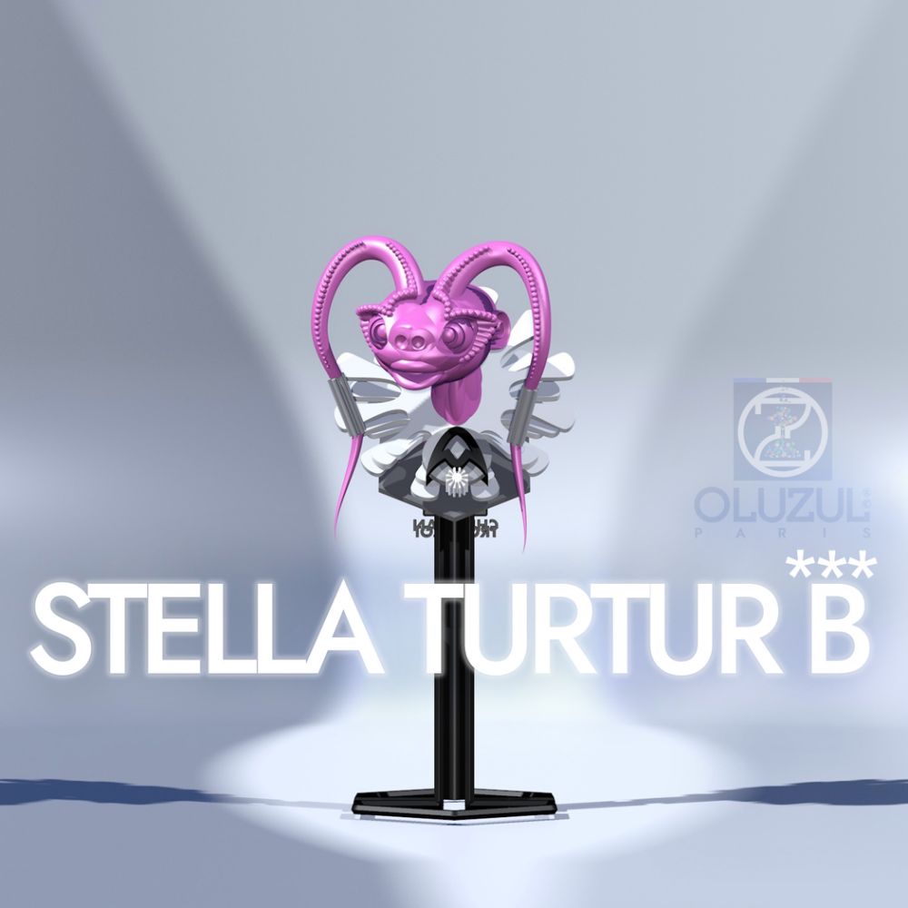 STELLA TURTUR B***