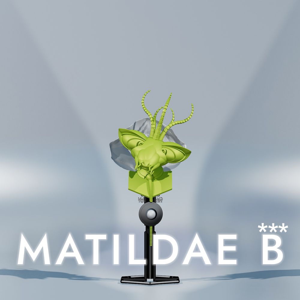 MATILDAE B***