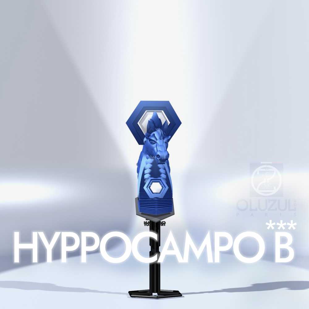 HYPPOCAMPO B***