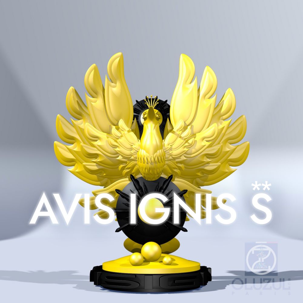 AVIS IGNIS S