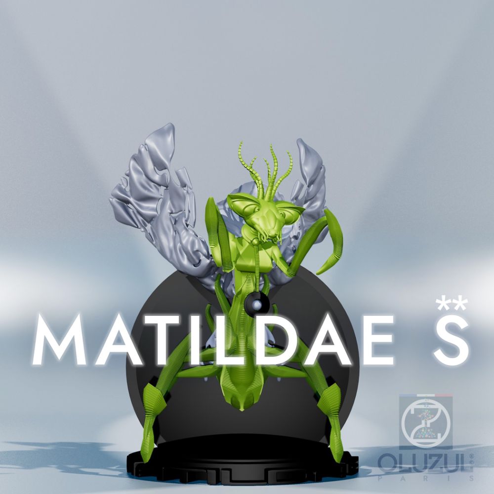 MATILDAE S**